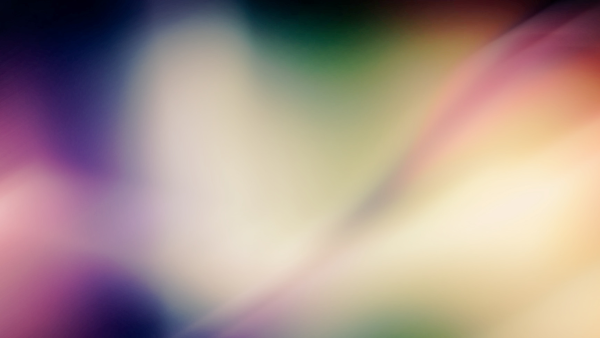 Memory Rituals [Part Two]: Memory of Trees